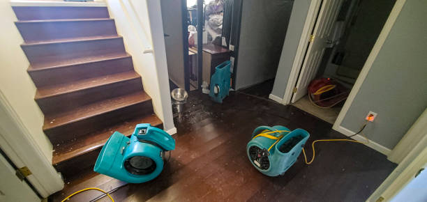 Best Water damage mitigation services  in Milford, PA
