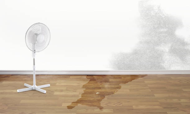 Best Carpet water damage restoration  in Milford, PA