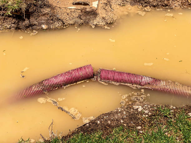 Best Basement water damage restoration  in Milford, PA