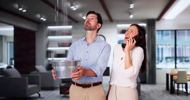 Best Water damage cleanup near me  in Milford, PA